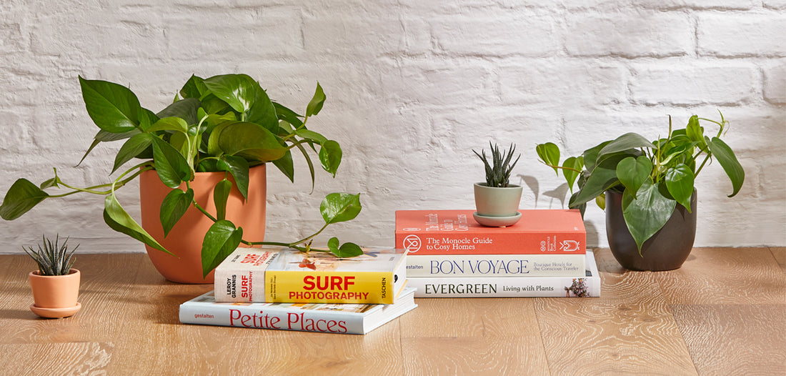 5 Indoor Garden Ideas That Are as Beautiful as They Are Beneficial