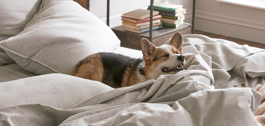 What's the Best Nap Length?