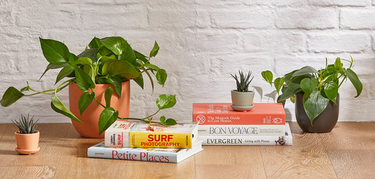 6 Stay-at-Home-Friendly Mother’s Day Ideas