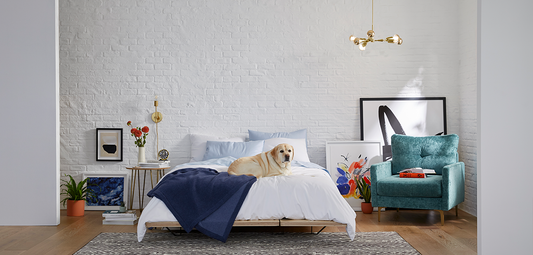 Resolutions You Should Make for Your Home in the New Year