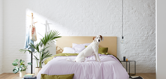 The Hottest Colors About to Hit the Market, According to Milan Fashion Week: and How to Use Them at Home