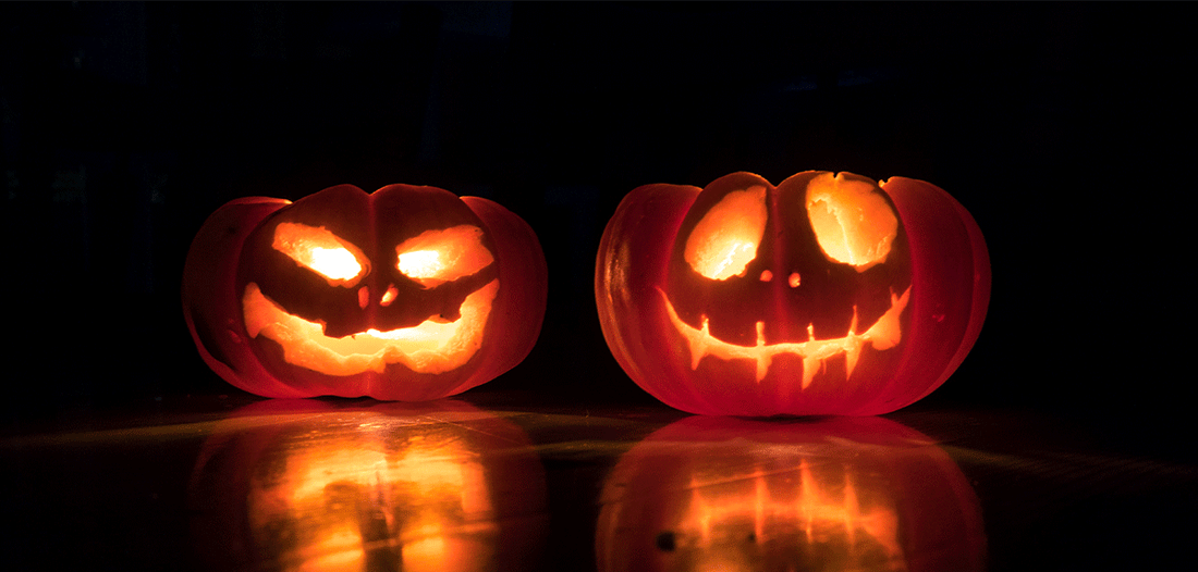 Photo by David Menidrey.