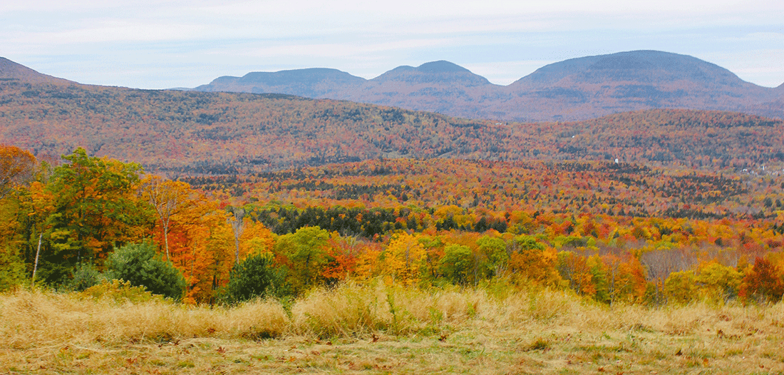 Our 5 Favorite Upstate spots for a Fall Foliage Getaway