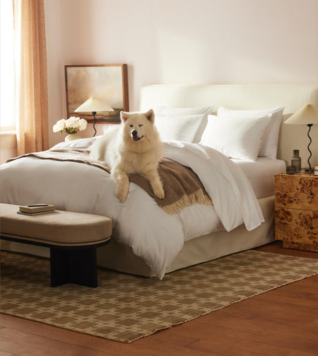 Spotlight Image Card