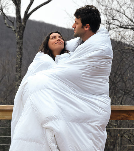 Spotlight Image Card