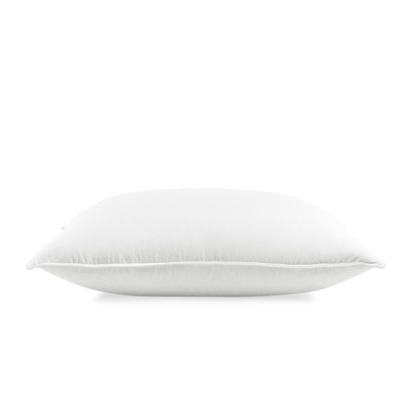 Spotlight Image Card