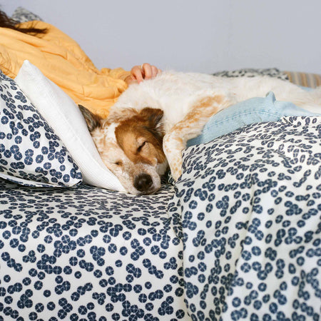 Spotlight Image Card