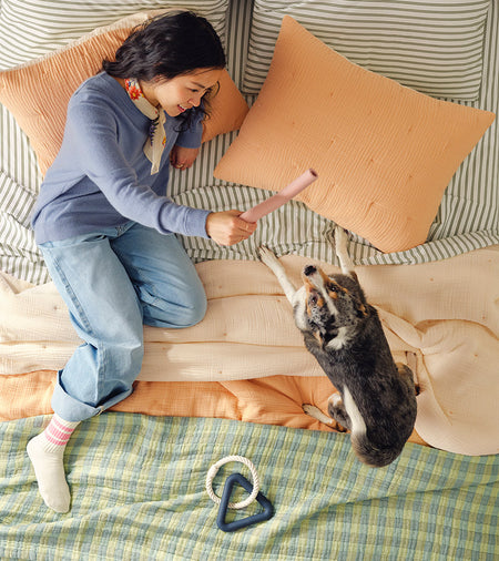 Spotlight Image Card